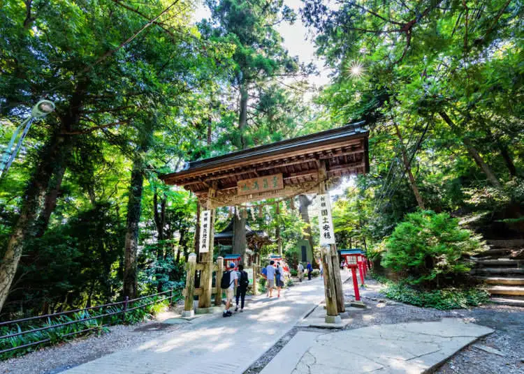 Mount Takao trail and mountain scenery